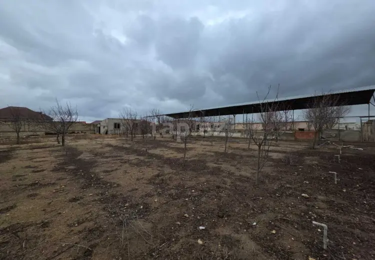 0 m² Obyekt / Ofis , Qala, Xəzər, Bakı