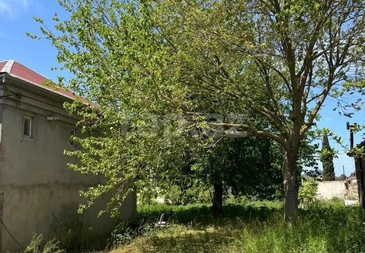 0 m² Obyekt / Ofis , Buzovna, Xəzər, Bakı