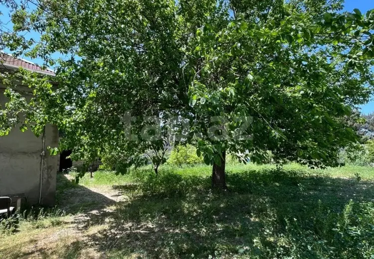 0 m² Obyekt / Ofis , Buzovna, Xəzər, Bakı