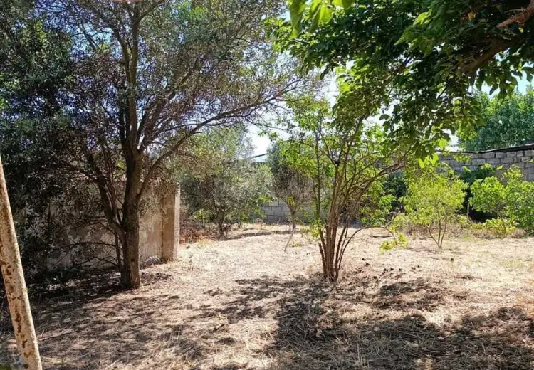 7.5 sot Torpaq Satılır, Bilgəh qəs., Sabunçu, Bakı