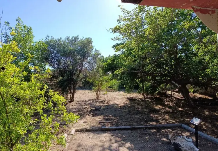 7.5 sot Torpaq Satılır, Bilgəh qəs., Sabunçu, Bakı