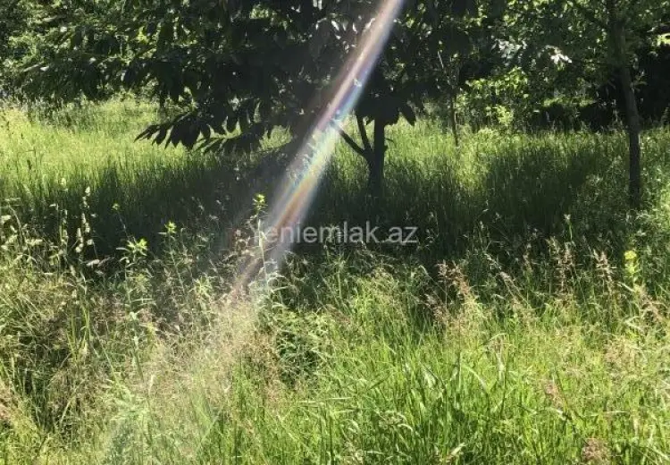 6 sot Torpaq Satılır, Qəbələ