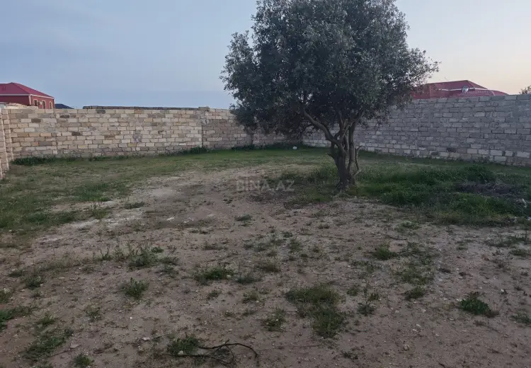 3 sot Torpaq Satılır, Sabunçu, Bakı
