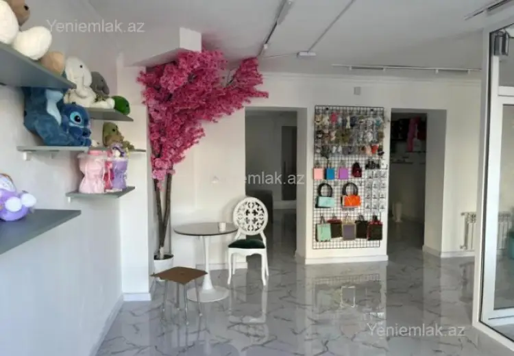 60 m² Obyekt / Ofis Kirayə (aylıq), Nəsimi, Bakı