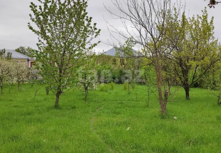 0 m² Obyekt / Ofis , Quba