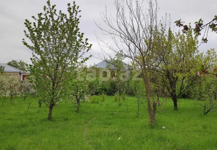 0 m² Obyekt / Ofis , Quba