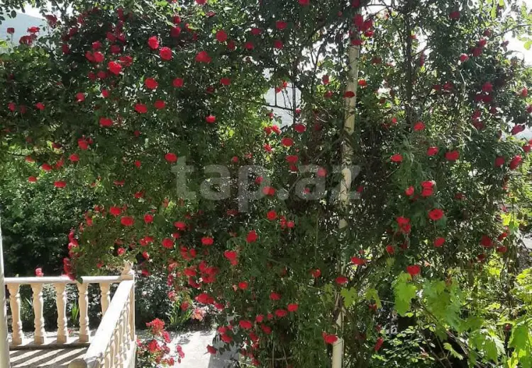 4 otaqlı mənzil , Şəki
