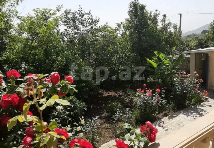 4 otaqlı mənzil , Şəki