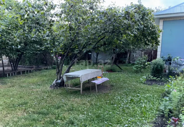 0 m² Obyekt / Ofis , Qəbələ