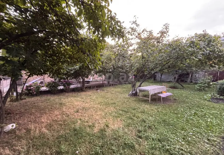 0 m² Obyekt / Ofis , Qəbələ