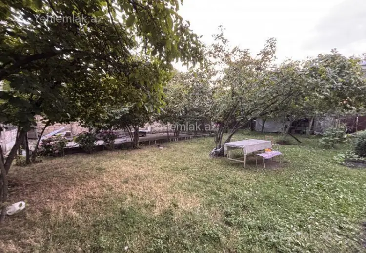 3.5 sot Torpaq Satılır, Qəbələ