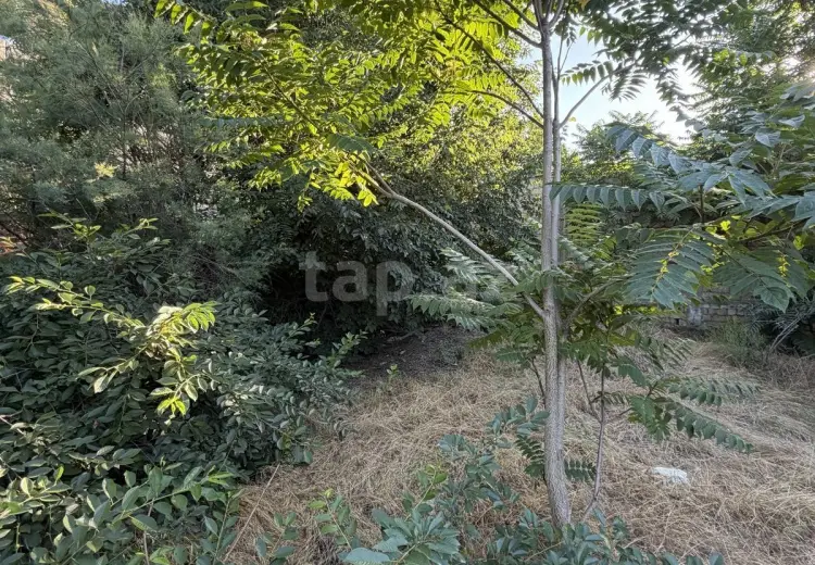 0 m² Obyekt / Ofis , Ramana qəs., Sabunçu, Bakı
