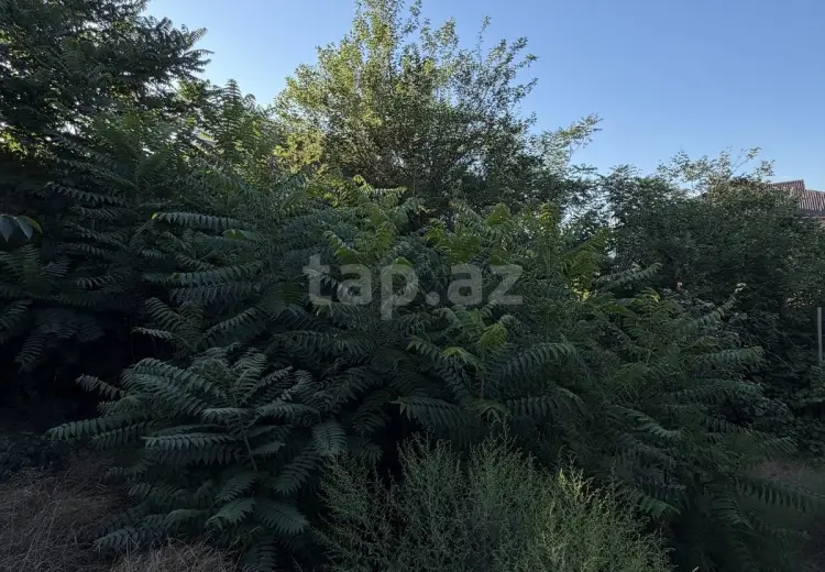 0 m² Obyekt / Ofis , Ramana qəs., Sabunçu, Bakı