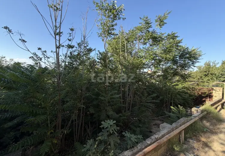 0 m² Obyekt / Ofis , Ramana qəs., Sabunçu, Bakı
