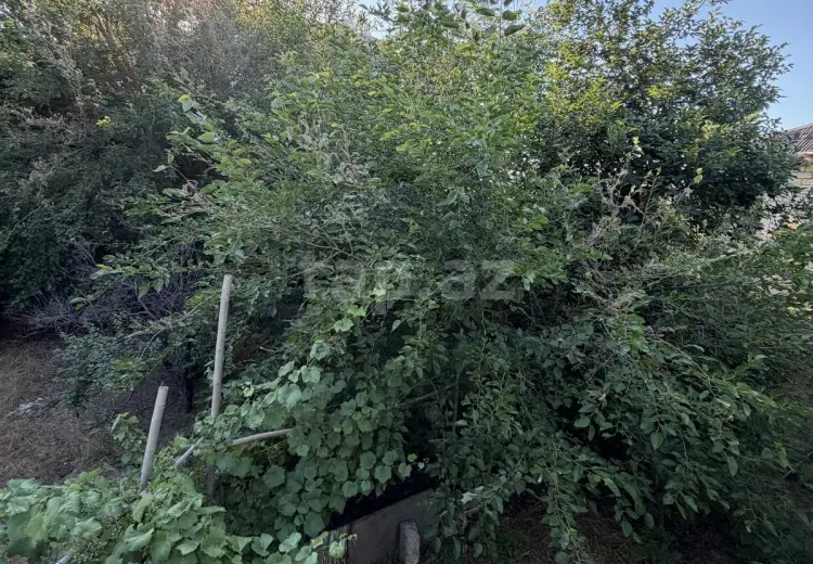 0 m² Obyekt / Ofis , Ramana qəs., Sabunçu, Bakı