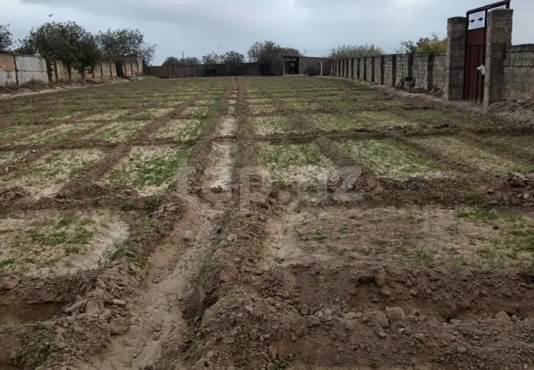 0 m² Obyekt / Ofis , Məştağa qəs., Sabunçu, Bakı