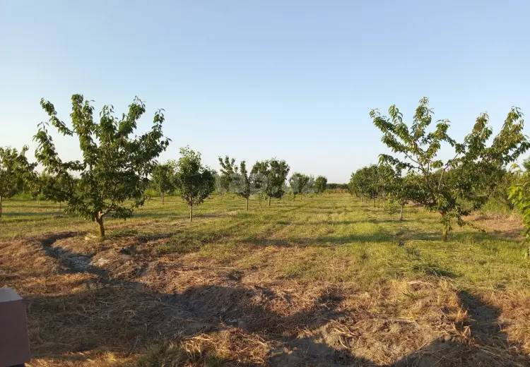 0 m² Obyekt / Ofis , Xaçmaz