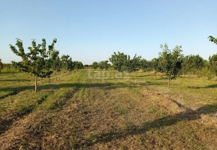 0 m² Obyekt / Ofis , Xaçmaz