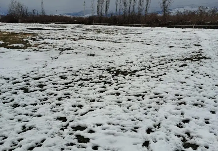 10.5 sot Torpaq Satılır, Masazır, Abşeron