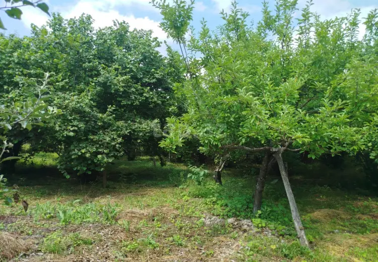 0 m² Obyekt / Ofis , İsmayıllı