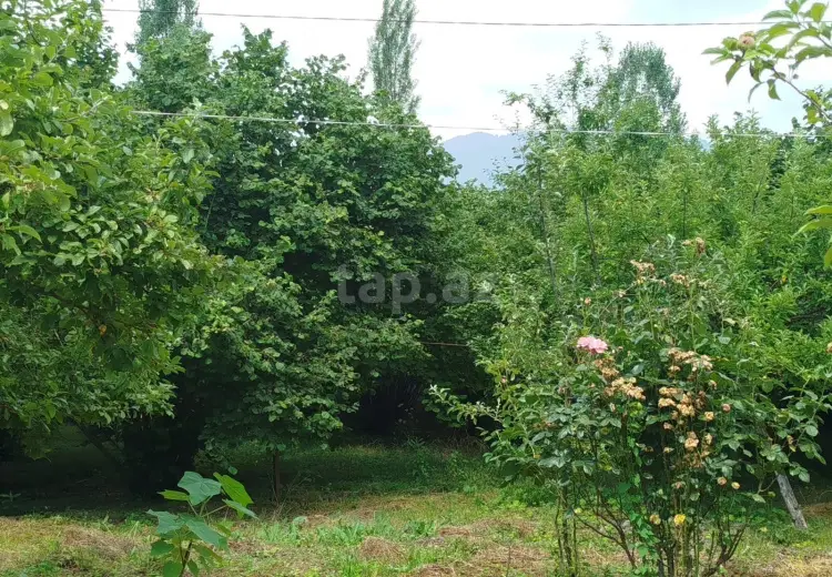 0 m² Obyekt / Ofis , İsmayıllı