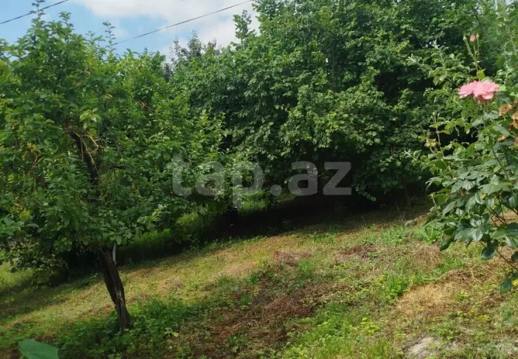 0 m² Obyekt / Ofis , İsmayıllı