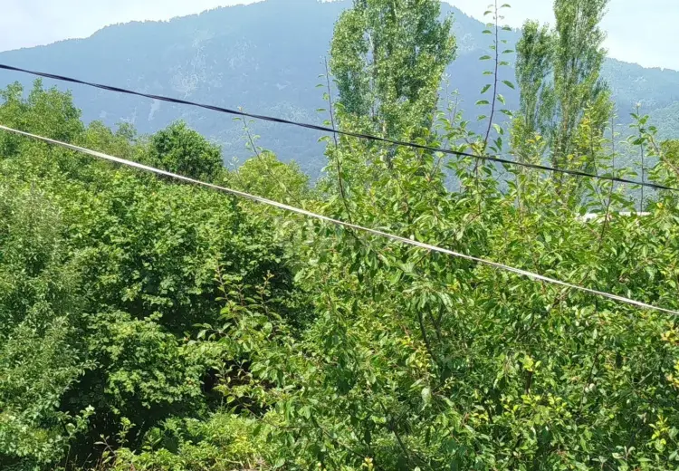 0 m² Obyekt / Ofis , İsmayıllı
