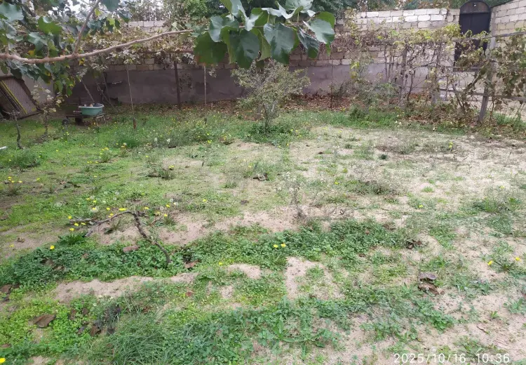 0 m² Obyekt / Ofis , Şüvəlan, Xəzər, Bakı