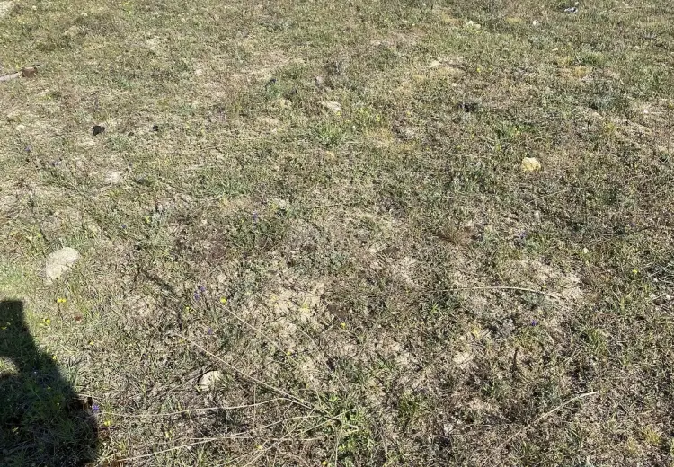 5 sot Torpaq Satılır, Nardaran qəs., Sabunçu, Bakı