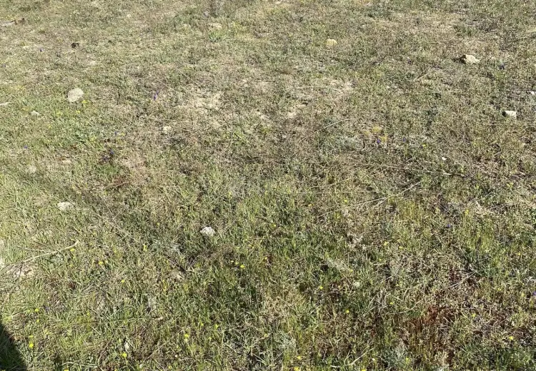 5 sot Torpaq Satılır, Nardaran qəs., Sabunçu, Bakı