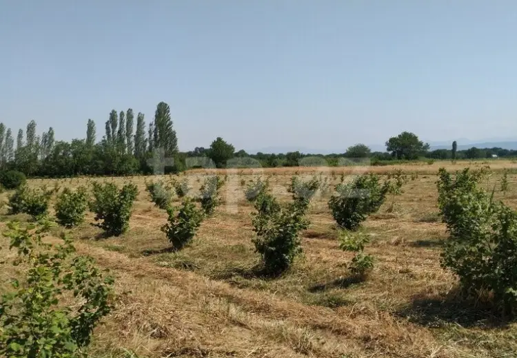 0 m² Obyekt / Ofis , Xaçmaz
