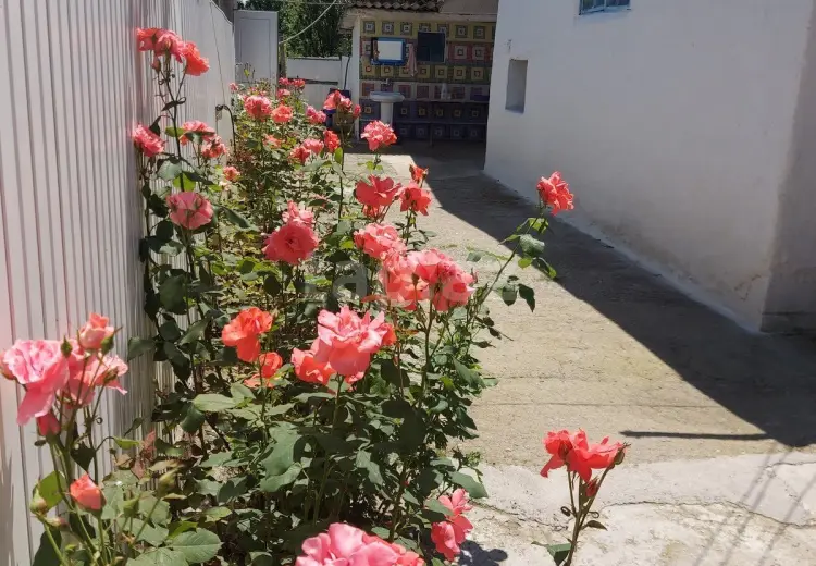 4 otaqlı mənzil , Xaçmaz
