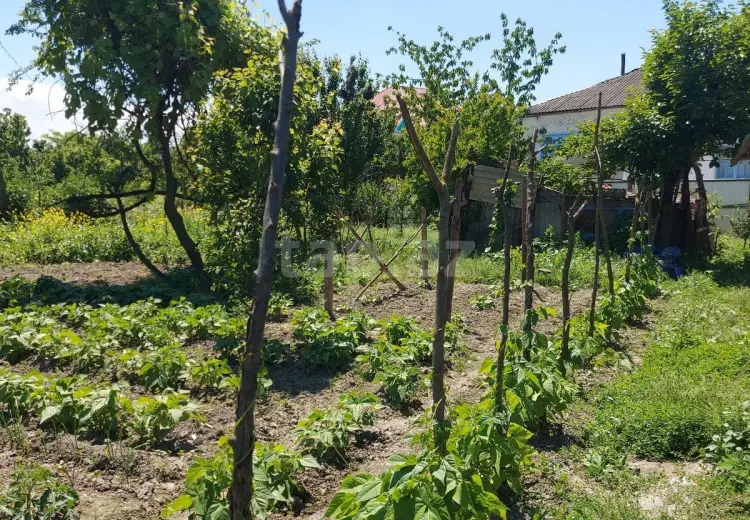 4 otaqlı mənzil , Xaçmaz