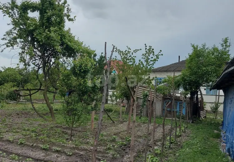 4 otaqlı mənzil , Xaçmaz