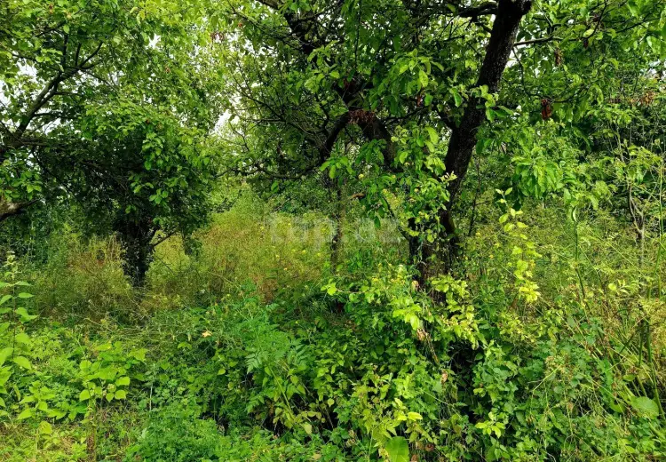 0 m² Obyekt / Ofis , Göygöl