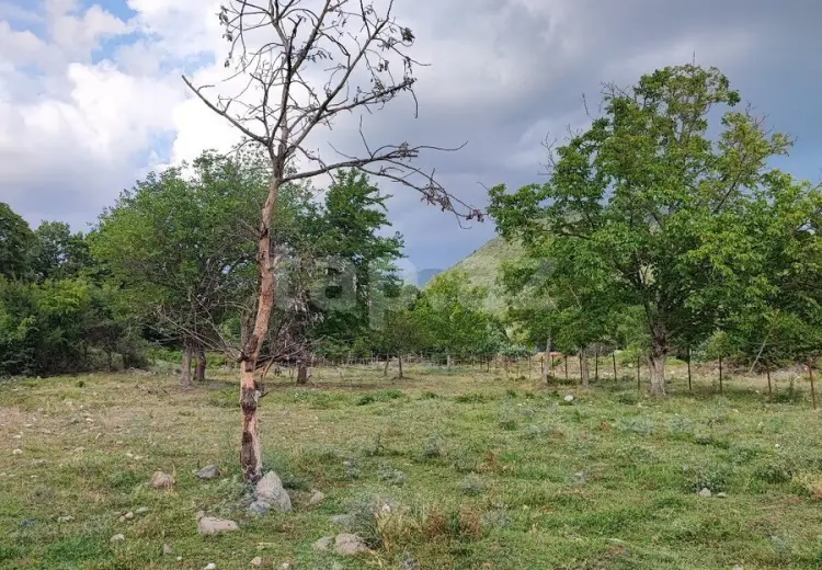 0 m² Obyekt / Ofis , İsmayıllı