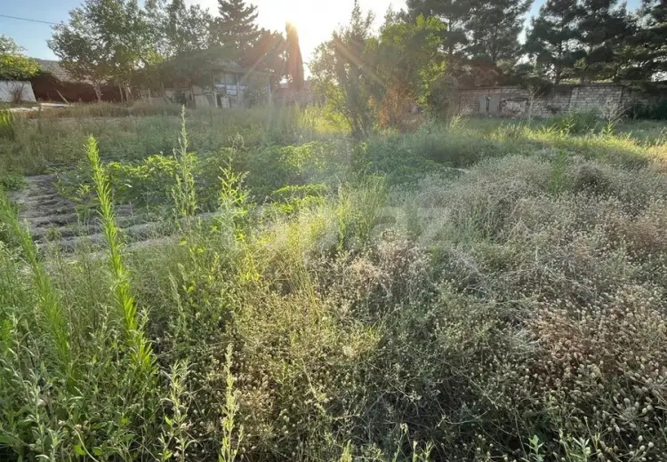 0 m² Obyekt / Ofis , Novxanı, Abşeron