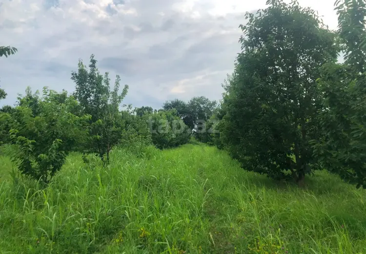 0 m² Obyekt / Ofis , Xaçmaz