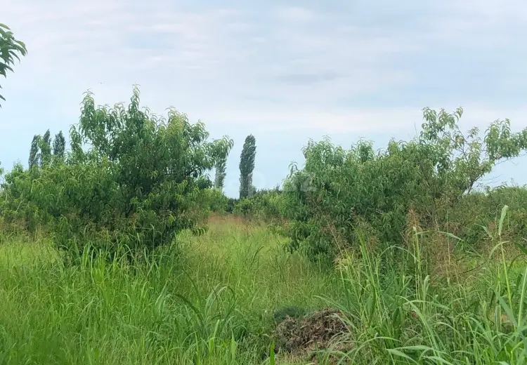 0 m² Obyekt / Ofis , Xaçmaz