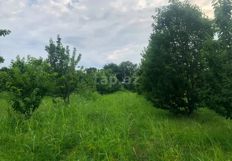 0 m² Obyekt / Ofis , Xaçmaz