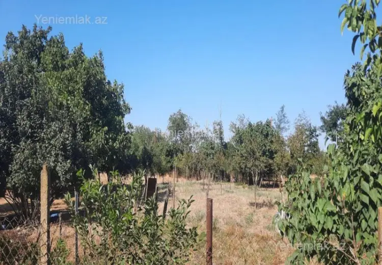 51 sot Torpaq Satılır, Cəlilabad