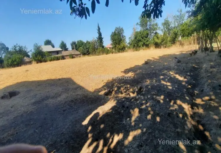 51 sot Torpaq Satılır, Cəlilabad