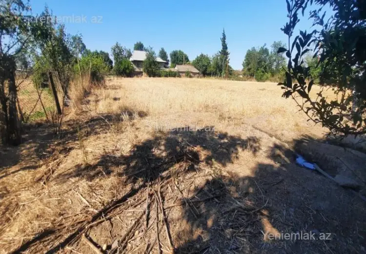 51 sot Torpaq Satılır, Cəlilabad