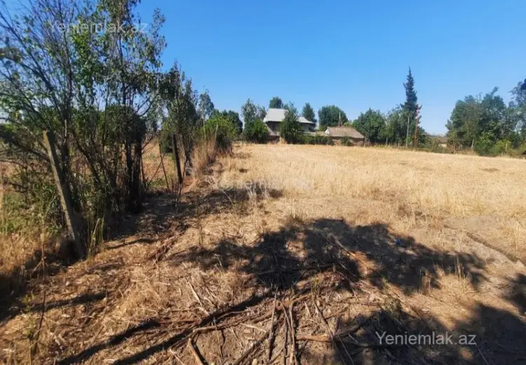 51 sot Torpaq Satılır, Cəlilabad