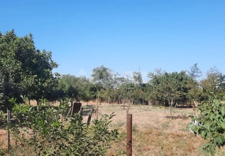 0 m² Obyekt / Ofis , Cəlilabad