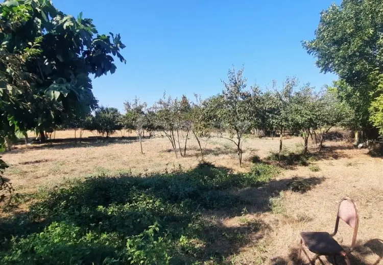 0 m² Obyekt / Ofis , Cəlilabad