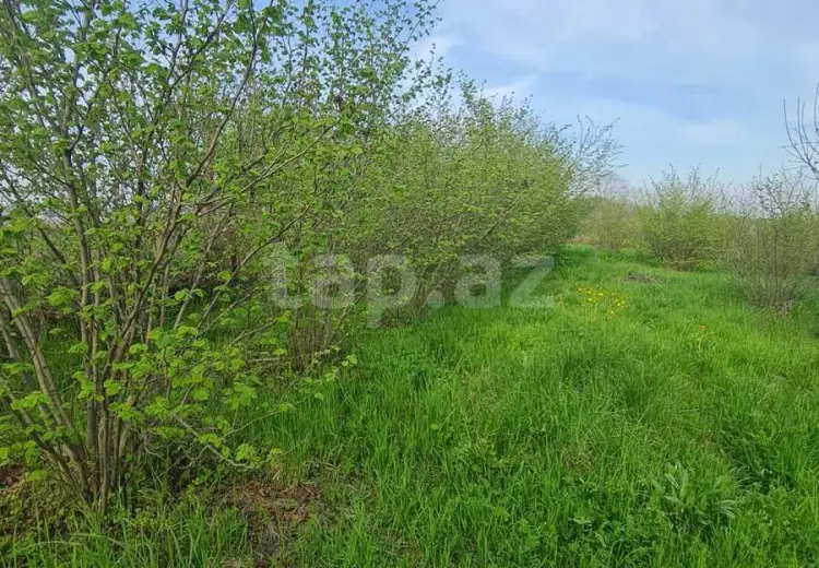 0 m² Obyekt / Ofis , Quba