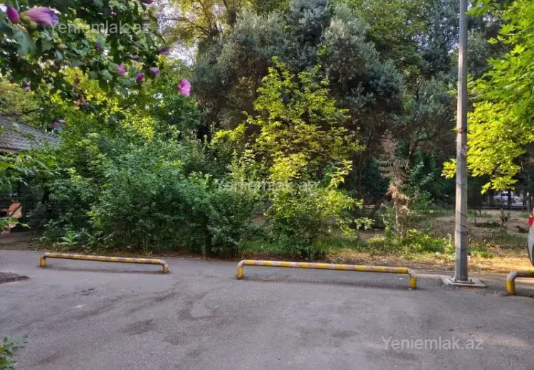 2 otaqlı mənzil Kirayə (aylıq), 7-ci mikrorayon, Binəqədi, Bakı