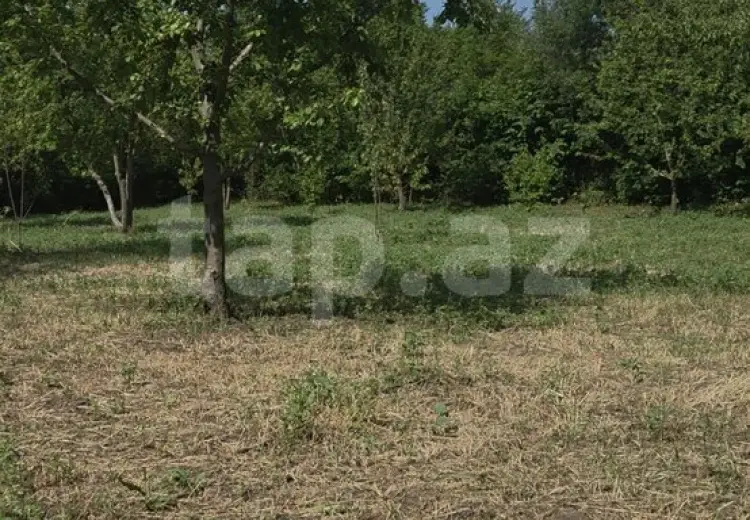 0 m² Obyekt / Ofis , Qusar