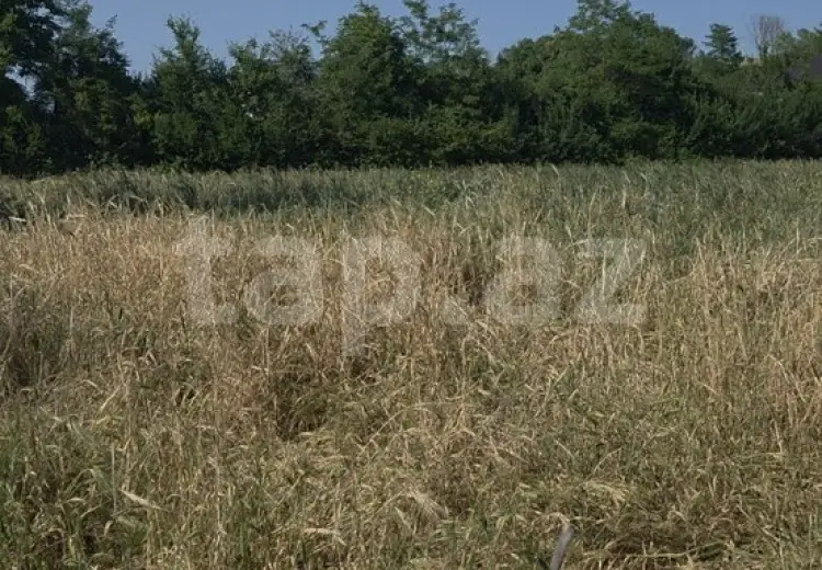 0 m² Obyekt / Ofis , Qusar